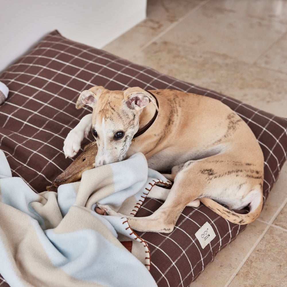 Kyoto Dog Cushion Large