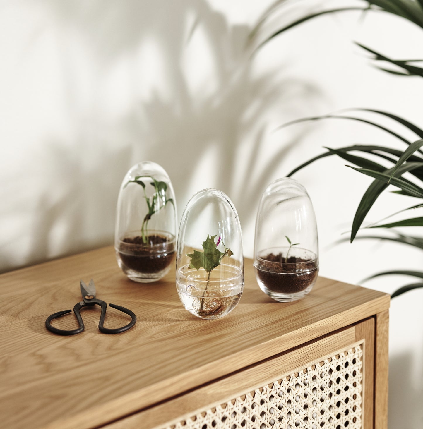 Design House Stockholm Grow Greenhouse Small clear