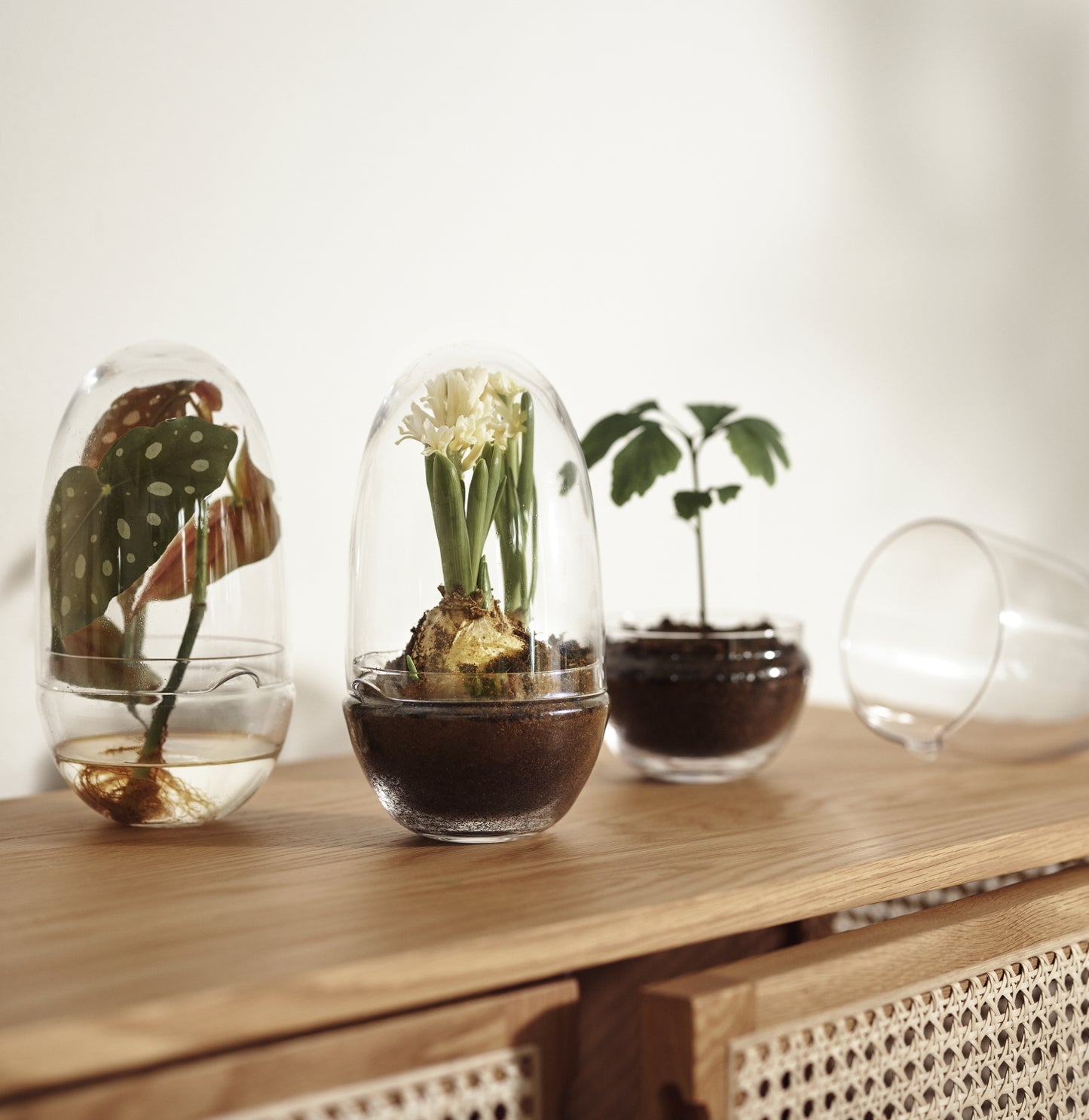 Design House Stockholm Grow Greenhouse Medium clear