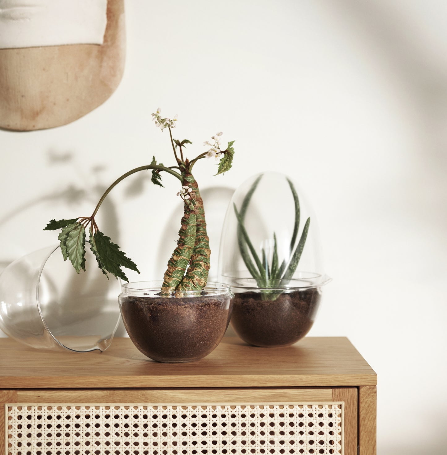 Design House Stockholm Grow Greenhouse Large clear