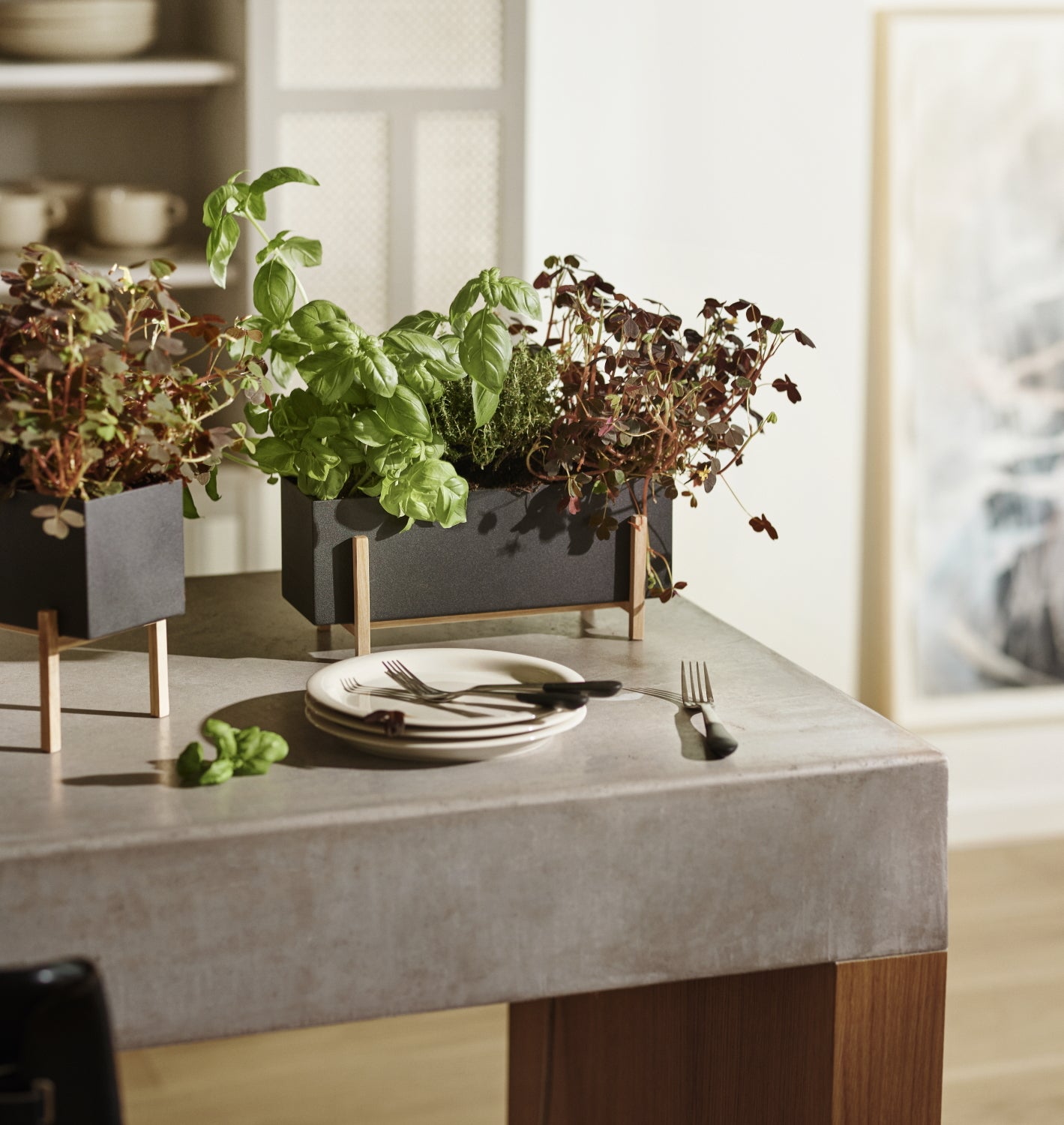 Design House Stockholm Botanic Box Metal-Ash Planter