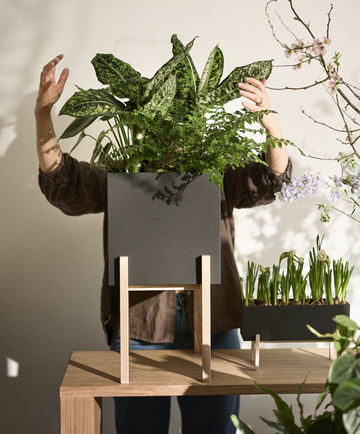 Design House Stockholm Botanic Stand Pedestal Ash