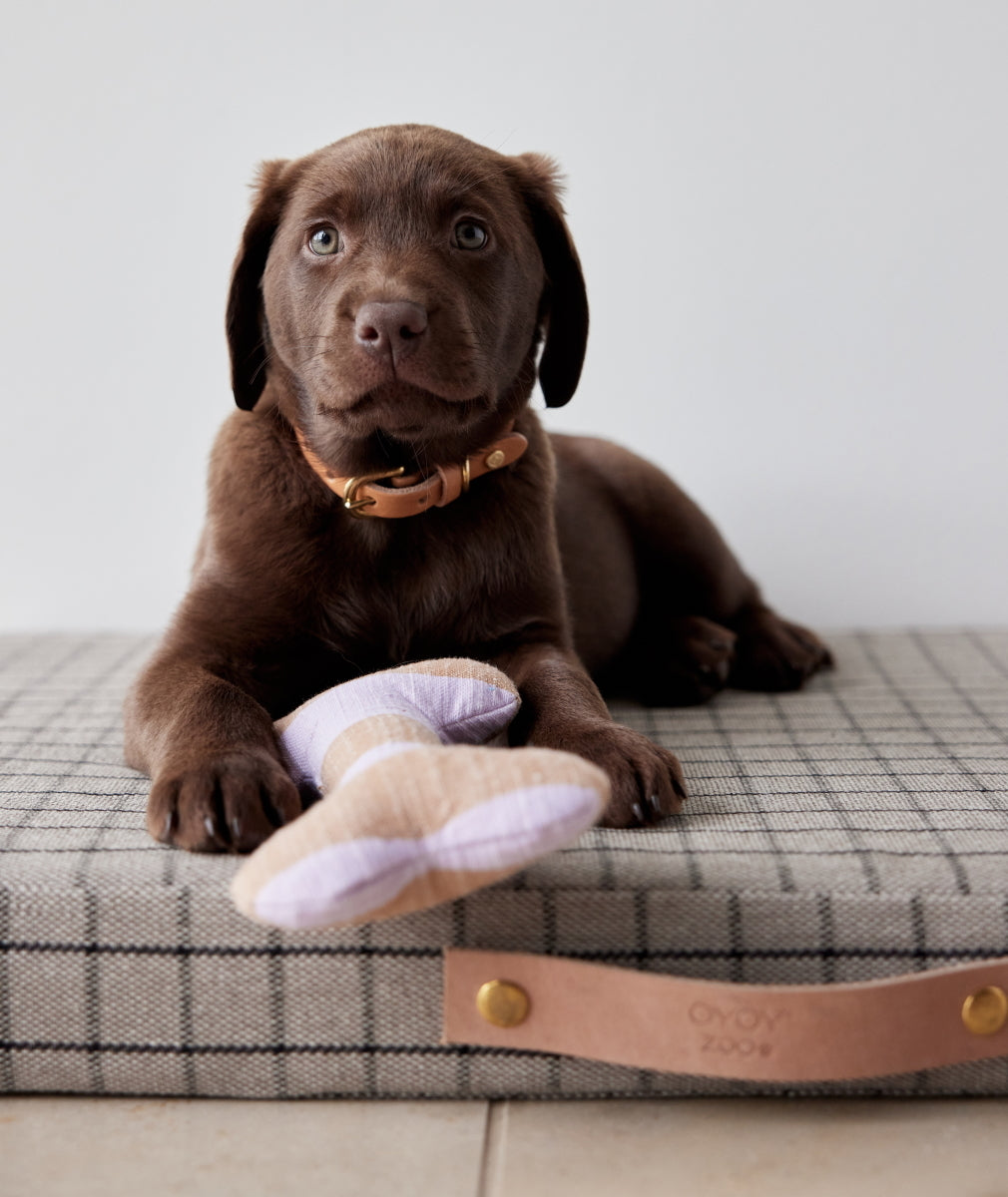 OYOY Robin Dog Collar S Natural
