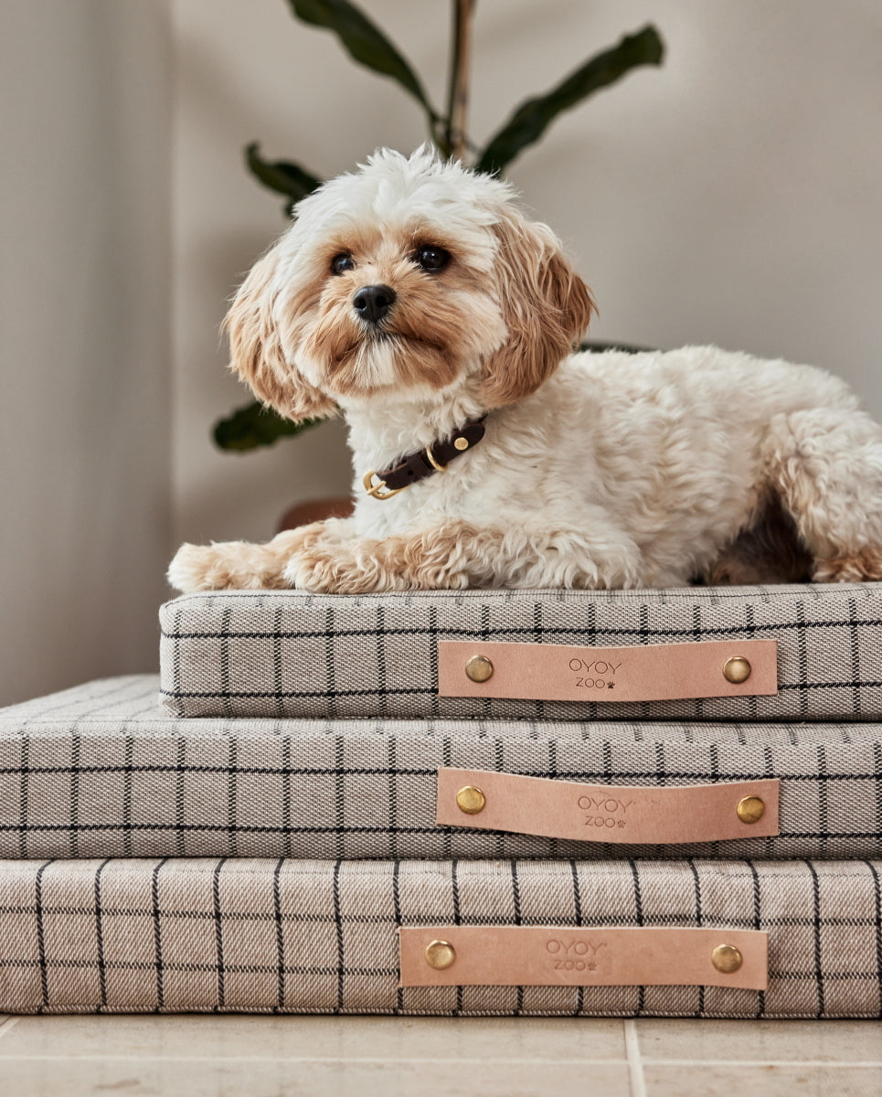 OYOY Robin Dog Collar M Choko