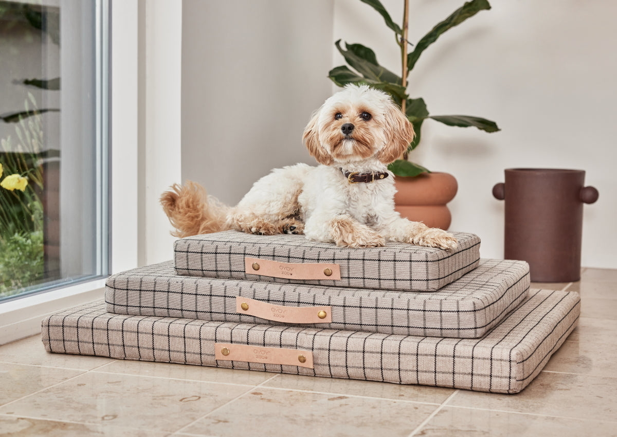 OYOY Milo Grid Dog Cushion Small