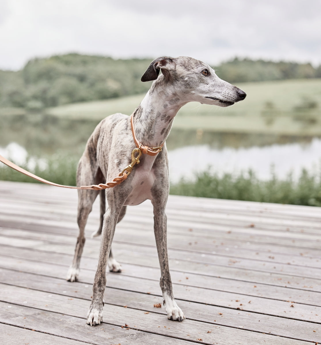 OYOY Robin Dog Leash M/L Natural