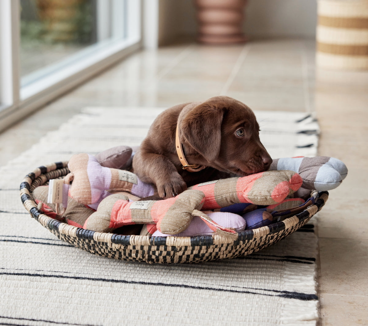Ashi Dog Toy Small