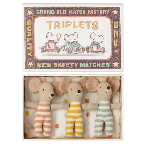 Mice Triplets Baby in box 2023