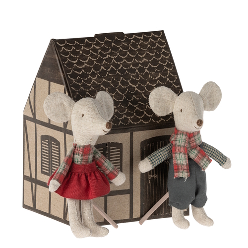 Winter Mice Twins in House