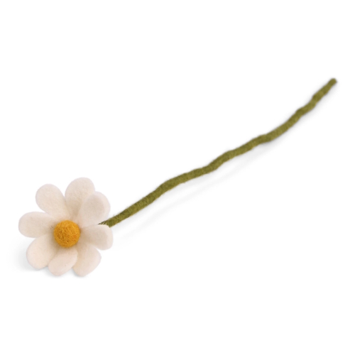 Anemone Flower white