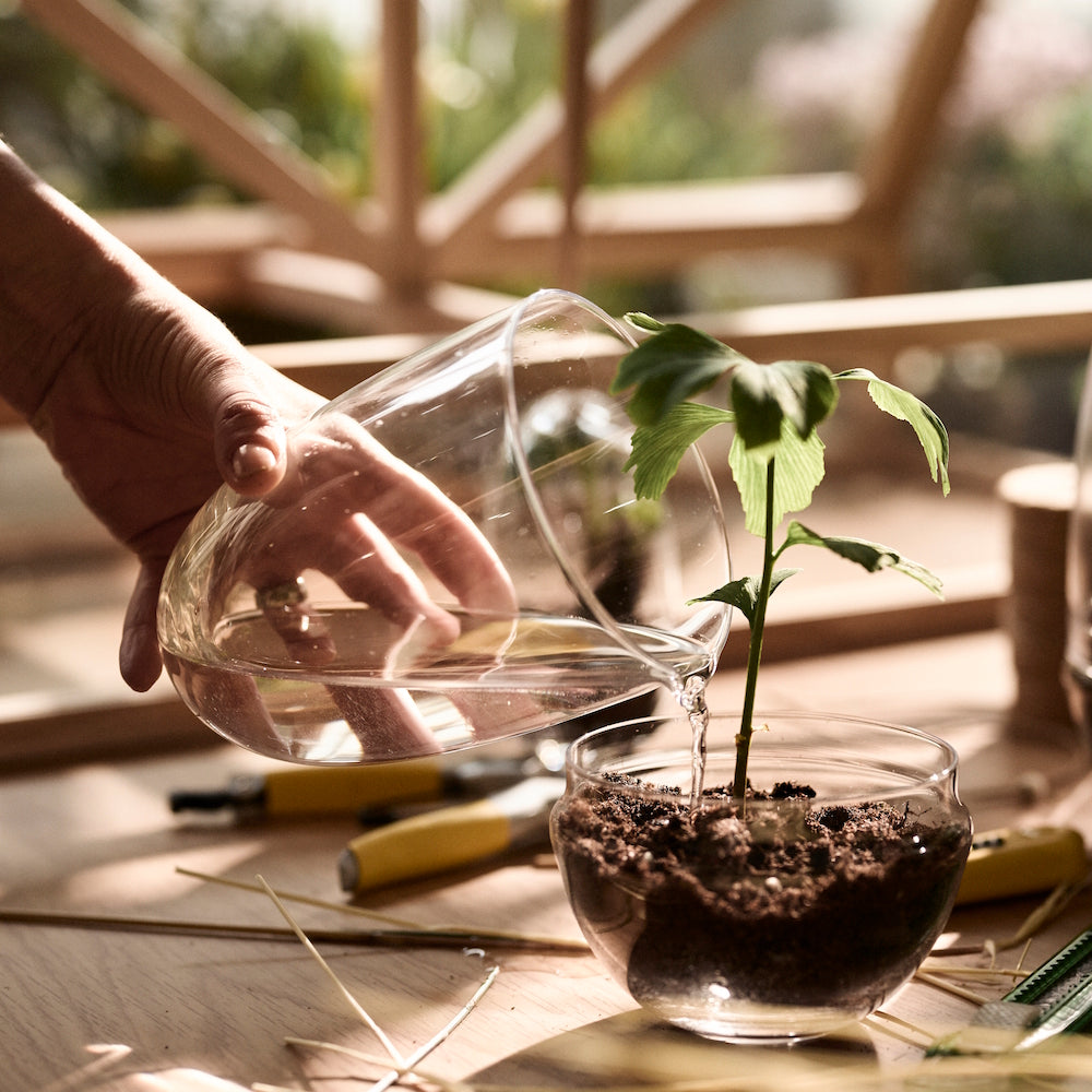 Design House Stockholm Grow Greenhouse Medium clear
