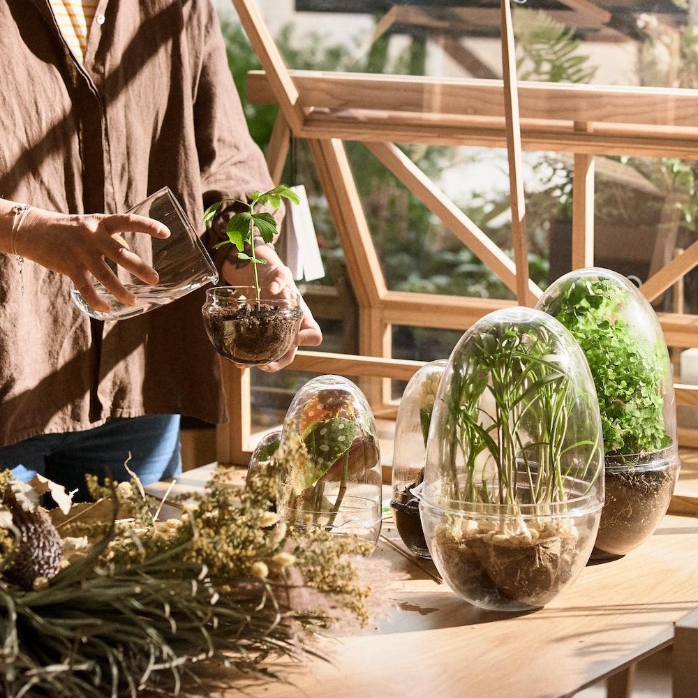 Design House Stockholm Grow Greenhouse Medium clear