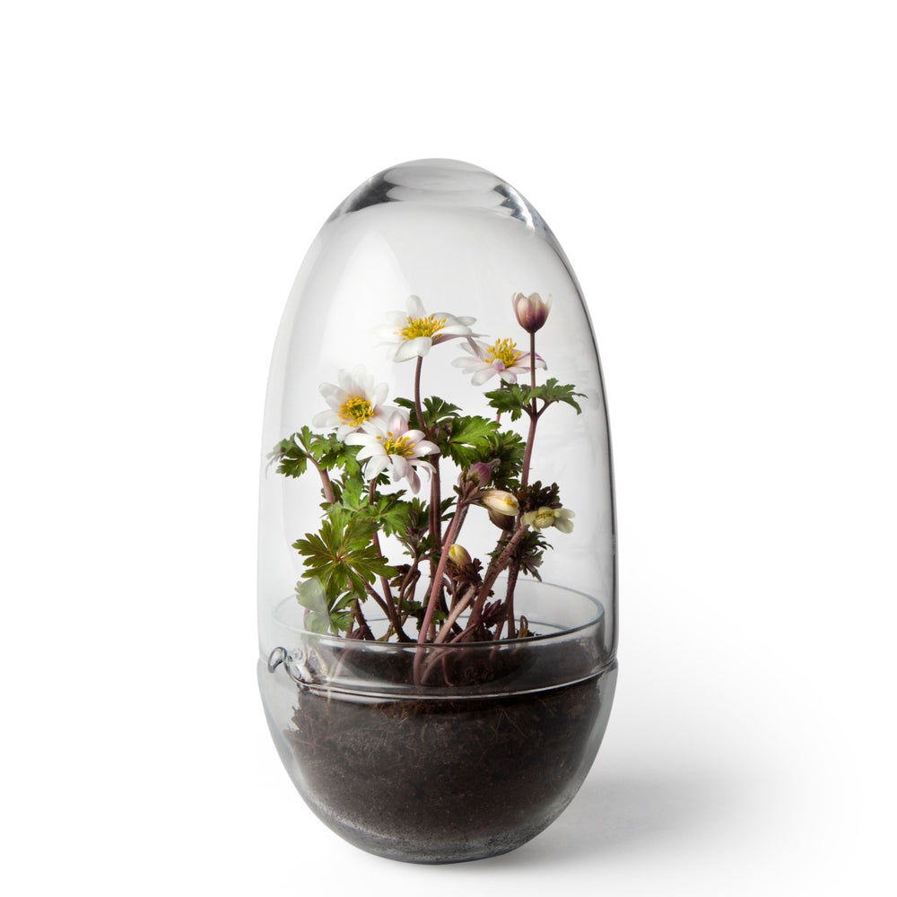 Design House Stockholm Grow Greenhouse Medium clear