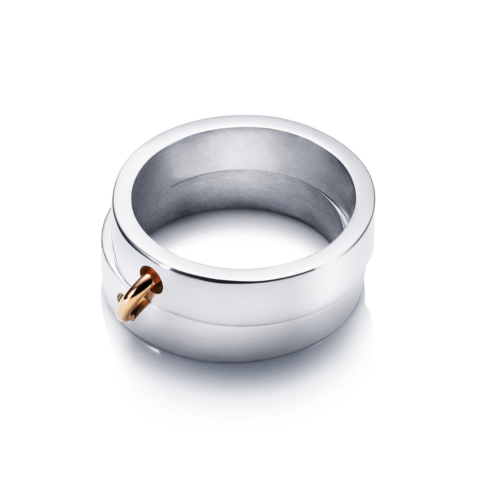 Efva Attling Divorced With Children Ring