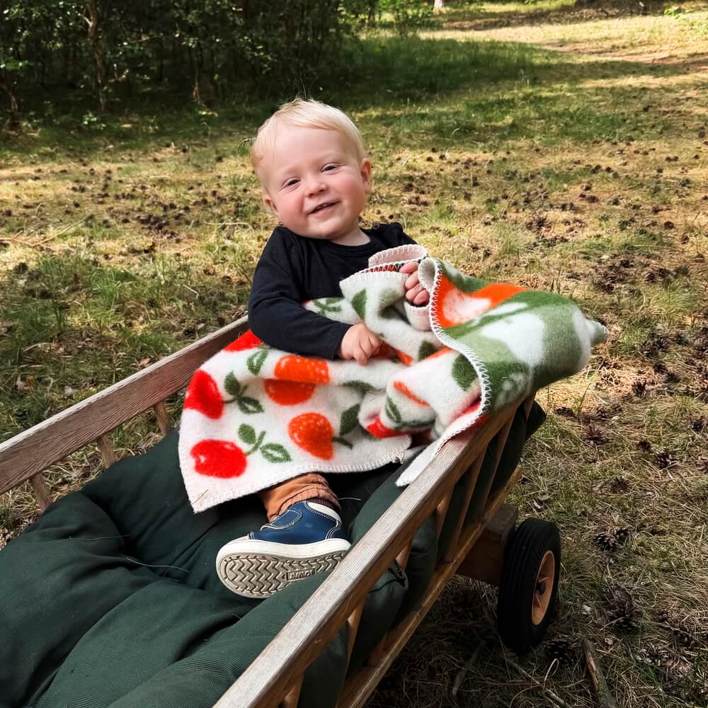 Klippan Fruits Baby Wool Blanket