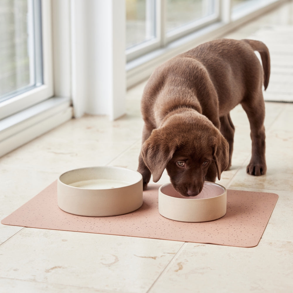 Sia Dog Bowl Small