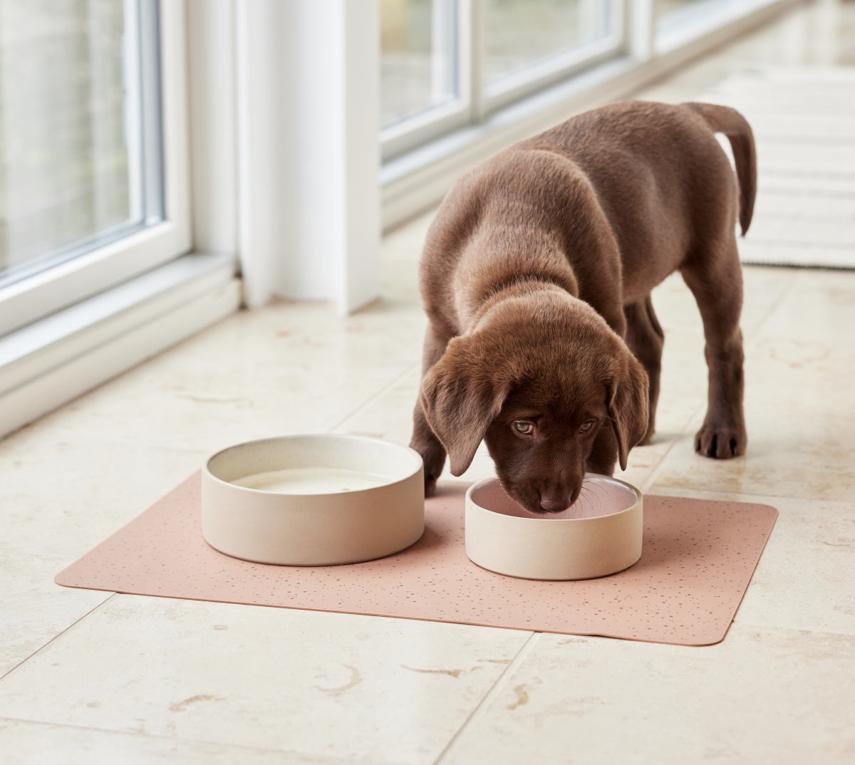 Sia Dog Bowl Small