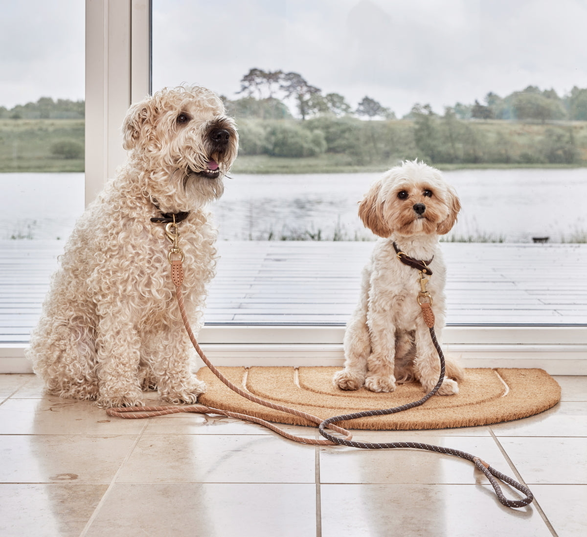 OYOY Robin Dog Collar L Choko