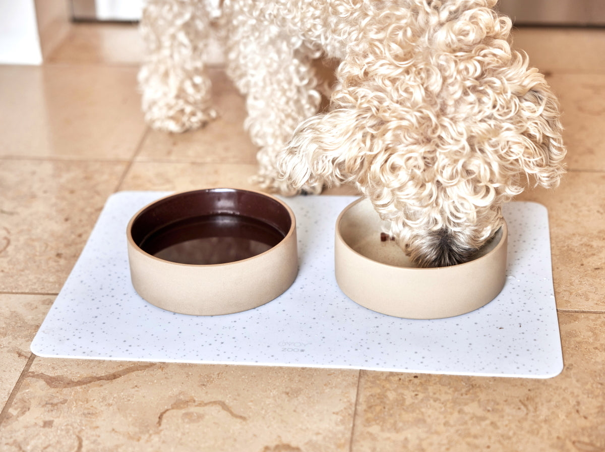 Sia Dog Bowl Medium