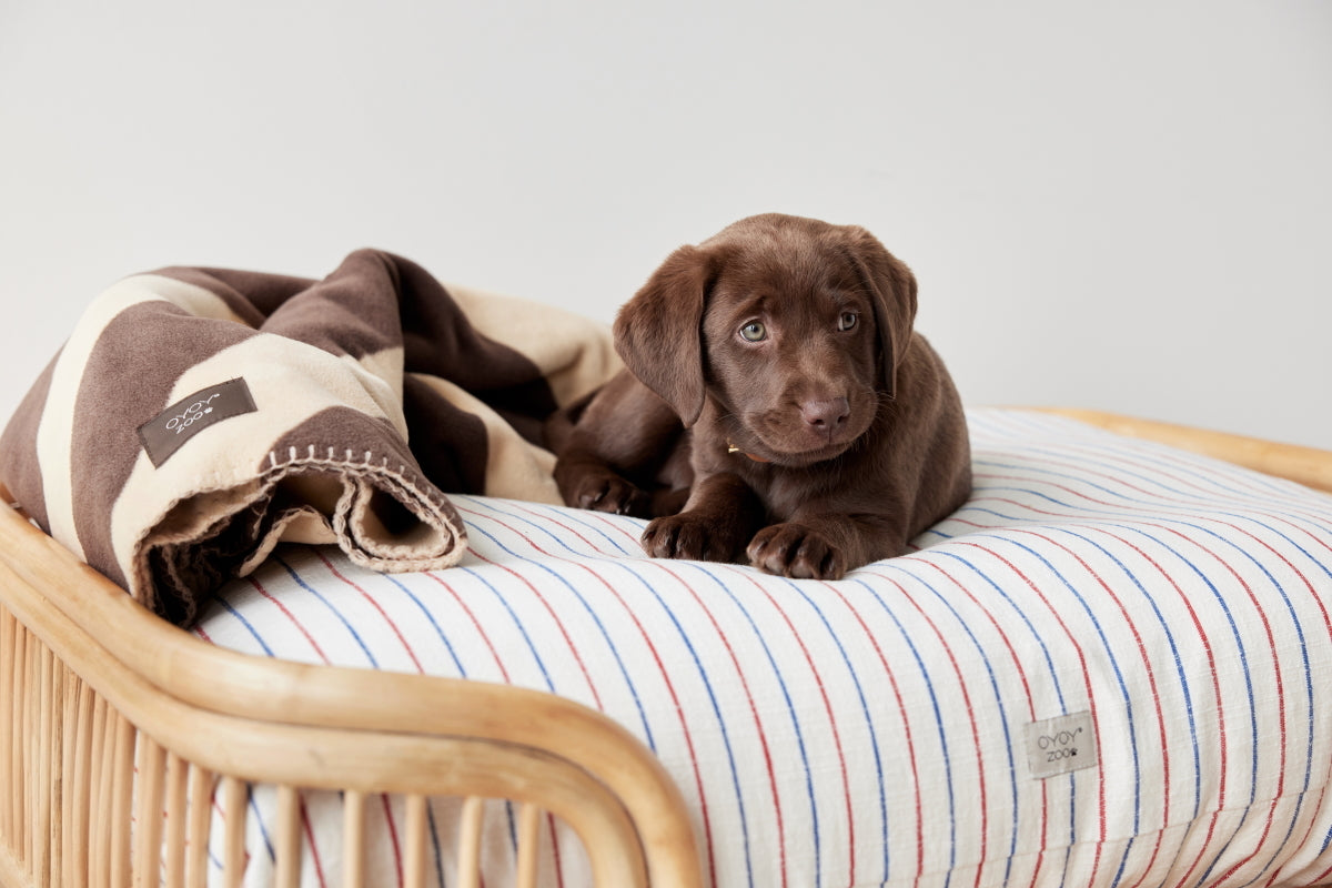 Kyoto Dog Cushion Small